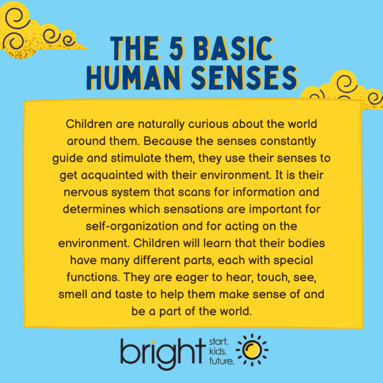 The 5 Basic Human Senses – PA Promise for Children